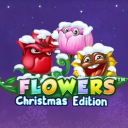 Flowers-Christmas-Edition
